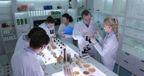 Laboratorio