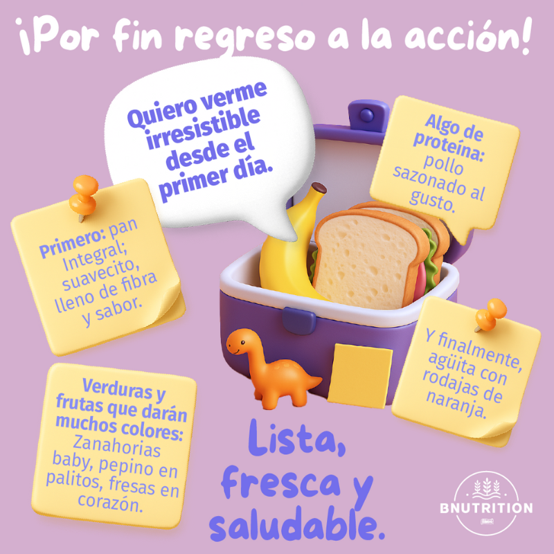 infografia como hacer lunch saludable